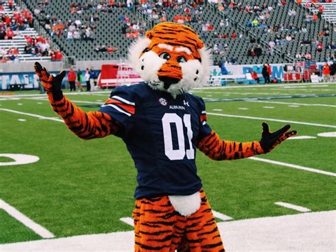 The iconic poses and traditions of the Auburn Tiger mascot